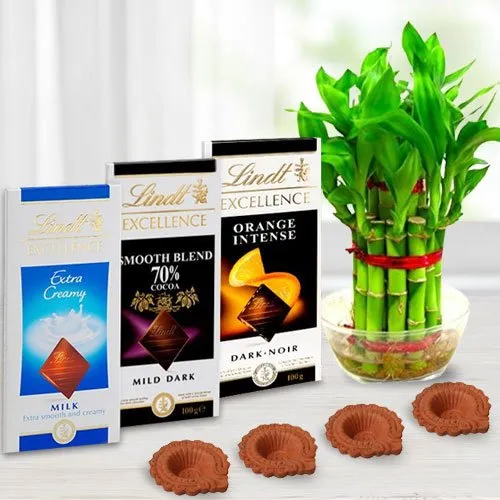 Eco Friendly Diwali Gift of Imported Lindt Chocolates n Plants with Diya