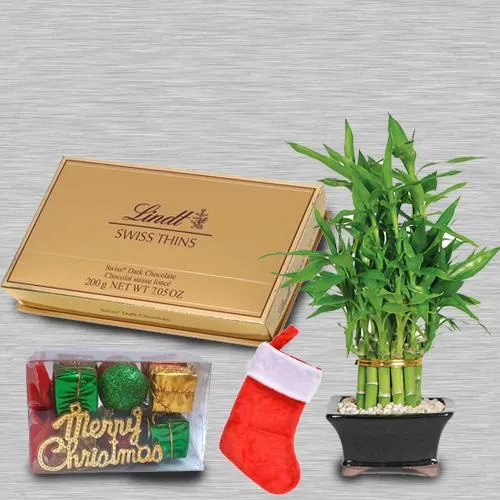 Delightful Lucky Bamboo, Lindt Swiss N Santa Stockings Gift Combo