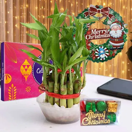 Auspicious Lucky Bamboo, LED Light, Cadbury Celebration n Wreath Gift Combo