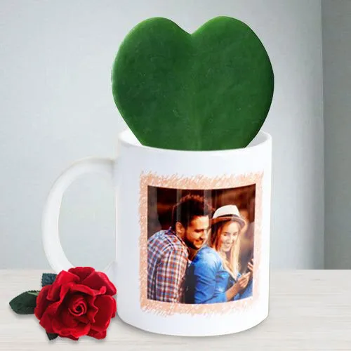 Beautiful Hoya Heart Plant in Customized Coffee Mug