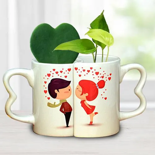 Magnificent Pairing of Coffee Mug with Hoya Heart n Money Plant