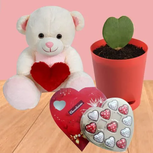 Mind-Blowing Hearty Gift Trio for Teddy Day