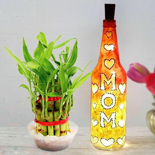 2 Tier Lucky Bamboo Plant with Handcrafted LED Lighting Bottle Lamp for Mom