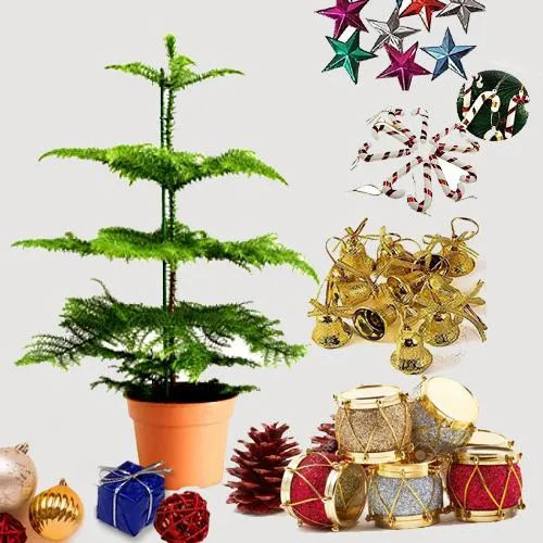 Superb Christmas Gift of Xmmas Tree with Decorations
