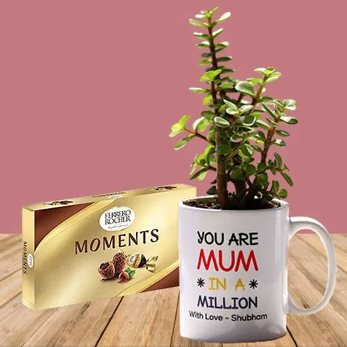 Fascinating Jade Plant in Personalized Mug with Ferrero Moment Chocolates Box