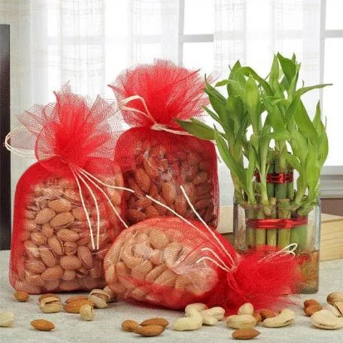 Marvelous Lucky Bamboo Plant in a Glass Vase With Assorted Dry Fruits
