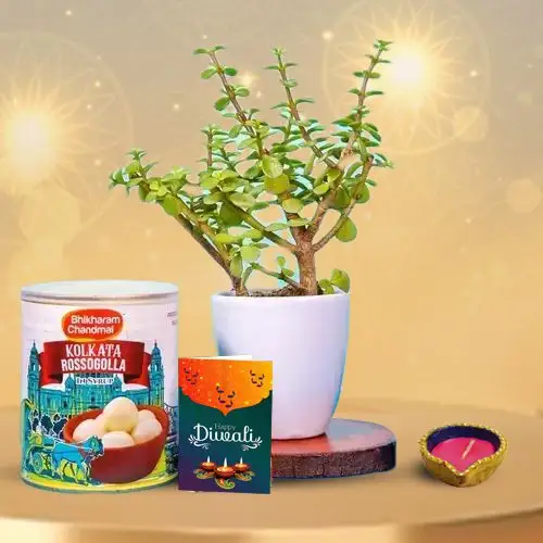 Green Diwali  Plant, Sweets And Wishes