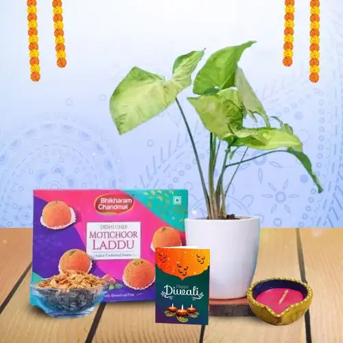 Diwali Happiness In A Box