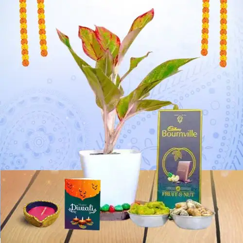 Thoughtful Diwali Gift With Message