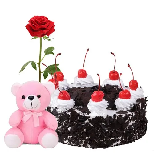 Shop for Black Forest Cake with Teddy N Red Rose