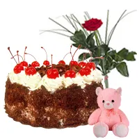 Deliver Black Forest Cake with Red Rose N Teddy