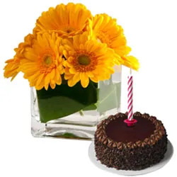 Deliver Chocolate Cake with Candles and Gerberas in Vase