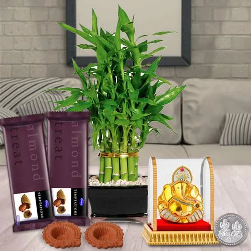 Exquisite 2 Tier Lucky Bamboo Combo Gift