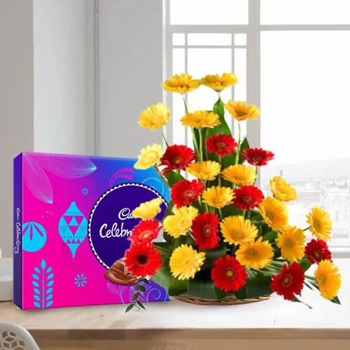 Elegant Gerbera Bouquet with Cadbury Celebration
