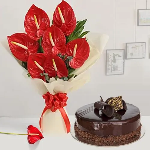 Lovely Combo of Anthurium Bouquet with Chocolate Cake