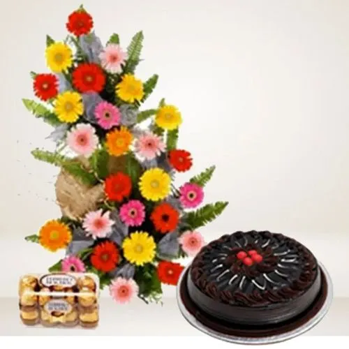 Chocolaty Treat with 25 Colorful Gerberas Basket