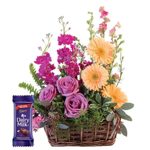 Elegant Assorted Blooms Bundle with Cadburys Dairy Milk Chocolate