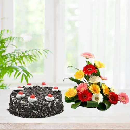 Stunning 15pc Mixed Gerberas Bunch n Black Forest Cake