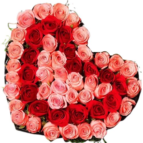 Lovely Heart Shape Arrangement of 50 Mixed Roses	