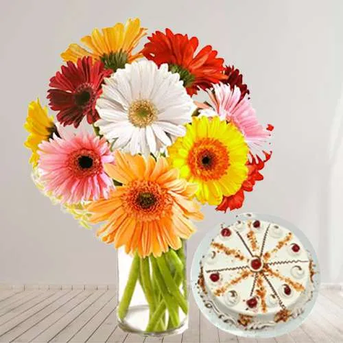 Fabulous Gerberas in Vase with Butter Scotch Cake