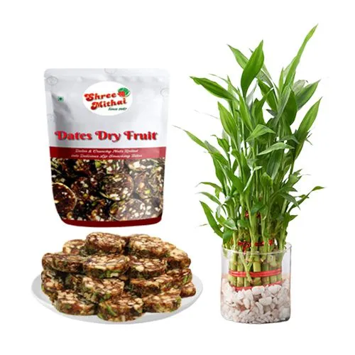 Combo of Shree Mithai Dry Fruit Dates Roll with Lucky Bamboo Plant