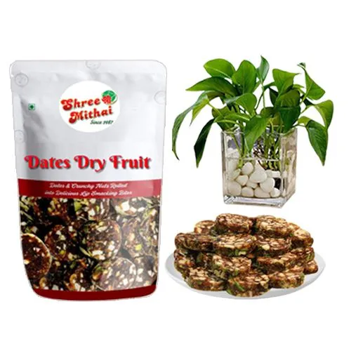 Famous Shree Mithai Dry Fruit Dates Roll with Money Plant in Glass Pot