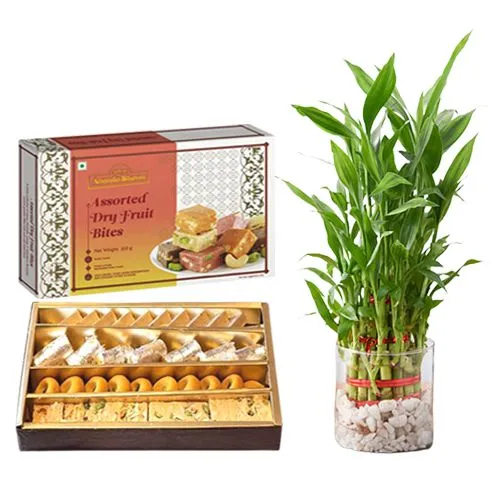 Gift of Adyar Ananda Bhawan Assorted Sweets with Lucky Bamboo Plant