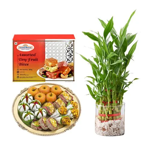 Gifts of Adyar Ananda Bhawan Assorted Dry Fruit Sweets with Lucky Bamboo Plant