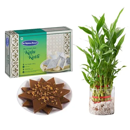 Sri Krishna Sweets Karupatti Katli and Lucky Bamboo Plant