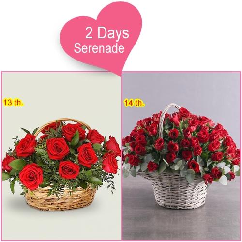 Order 2 Day Serenade Surprise for Lady Love
