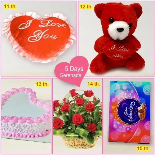 Deliver 5 Day   Serenade Gift for Love of your Life
