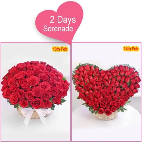 Attractive Red Roses Arrangement for 2 Day Serenade