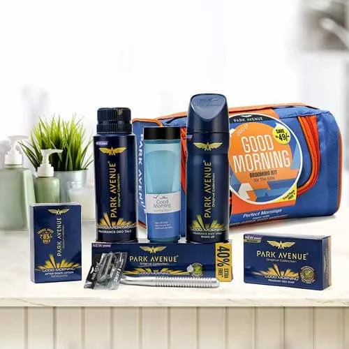 Appealing Mens Grooming Kit from Park Avenue