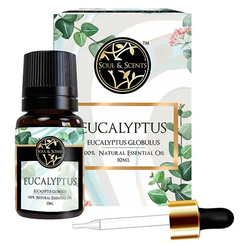 Cheerful Gift of Eucalyptus Essential Oil