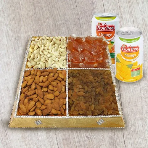 Snack’s Elect Dry Fruit and Beverage Gathering