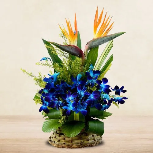 Exotic Bird of Paradise n Orchids Basket