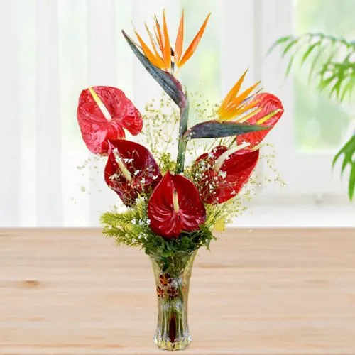 Exotic Flowers Exuberance in a Vase