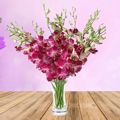 Amazing Orchids Sensations in Vase