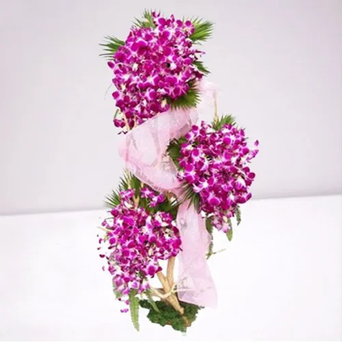 Extravagant Arrangement of 100 Purple Orchids with Chiffon Wrap