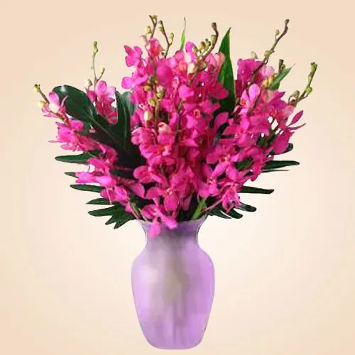 Graceful 12 Pink Orchids Fantasy in a Vase 