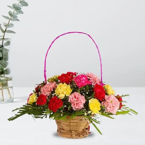 Exceptional Basket of 24 Carnations in Vivid Shades