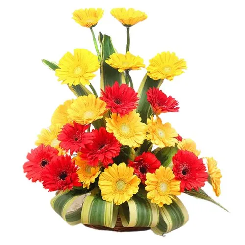 Brilliant 20 Colorful Gerberas Bouquet with Affection