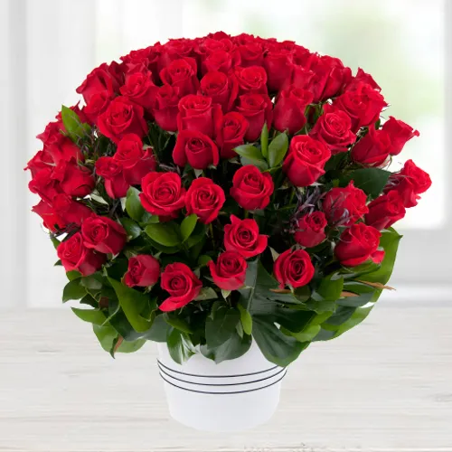 Luminous 100 Dutch Red Roses Bouquet with Love