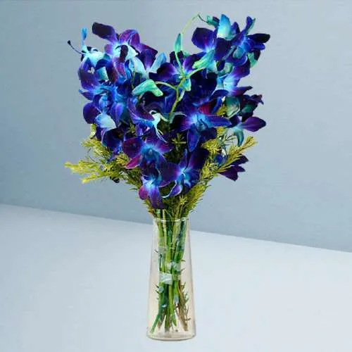 Awesome Blue Orchids in Vase