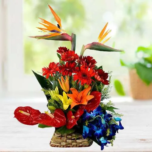Vibrant Surprise Exotic Blooms Basket