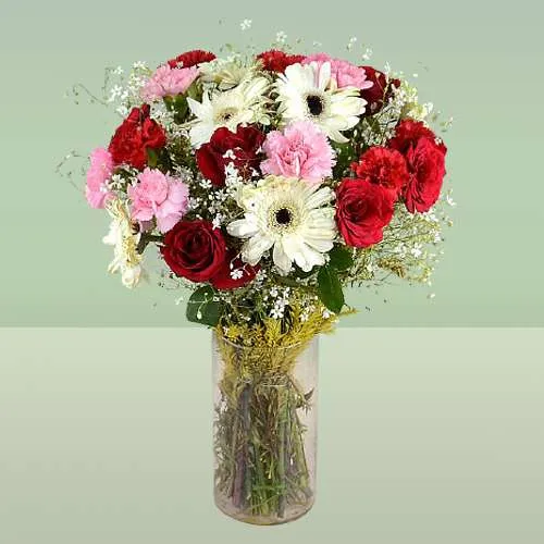 Dazzling Red Roses n Mixed Carnations in Vase