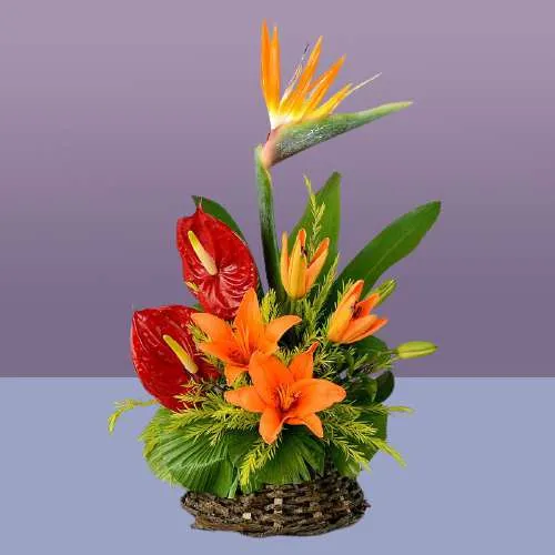 Stunning Exotic Flowers Basket