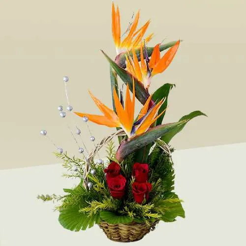 Pristine Perfection Red Rose n Birds of Paradise Basket