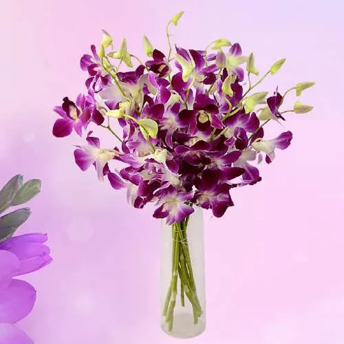 Magnificent Vase of Purple Orchids