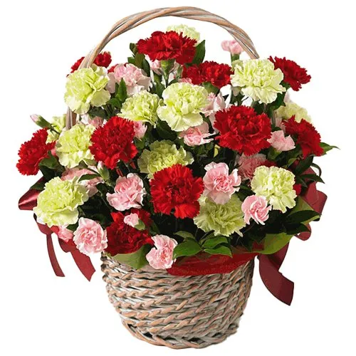 Pretty Basket with 15 Assorted Carnations